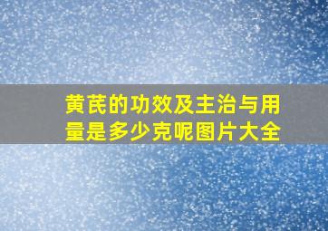 黄芪的功效及主治与用量是多少克呢图片大全