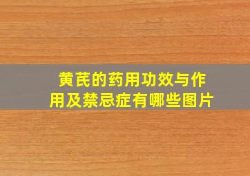 黄芪的药用功效与作用及禁忌症有哪些图片