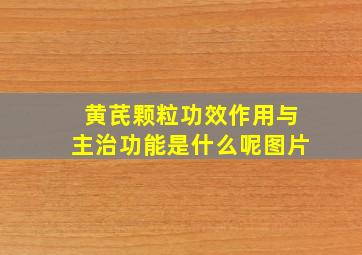 黄芪颗粒功效作用与主治功能是什么呢图片