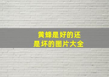 黄蜂是好的还是坏的图片大全