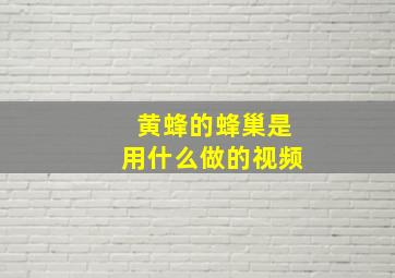 黄蜂的蜂巢是用什么做的视频