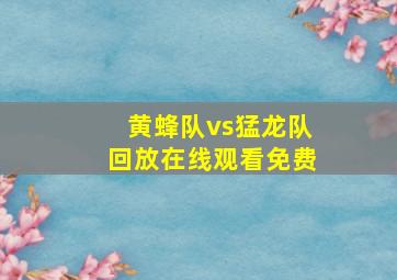 黄蜂队vs猛龙队回放在线观看免费