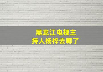 黑龙江电视主持人杨梓去哪了