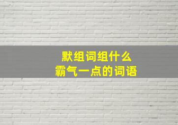 默组词组什么霸气一点的词语