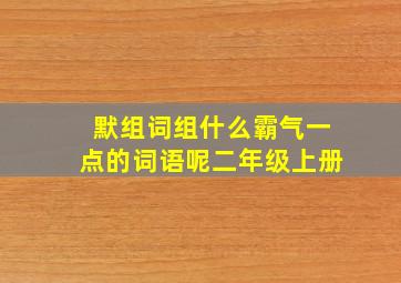 默组词组什么霸气一点的词语呢二年级上册