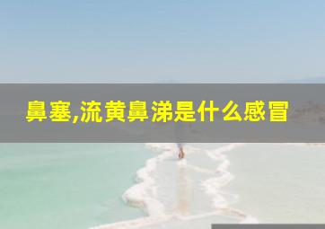 鼻塞,流黄鼻涕是什么感冒