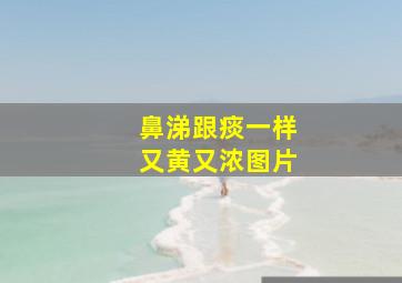 鼻涕跟痰一样又黄又浓图片